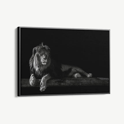 "Horizontal Lion"