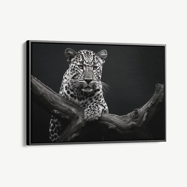 "Jaguar HZ"