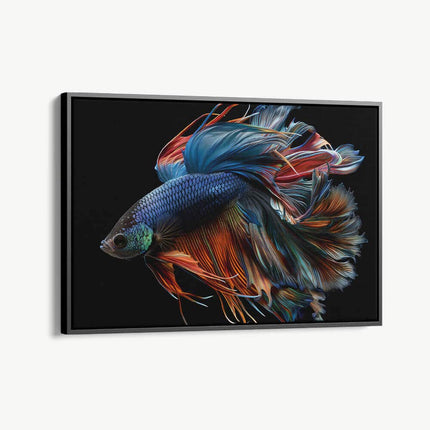 "Betta Fish"
