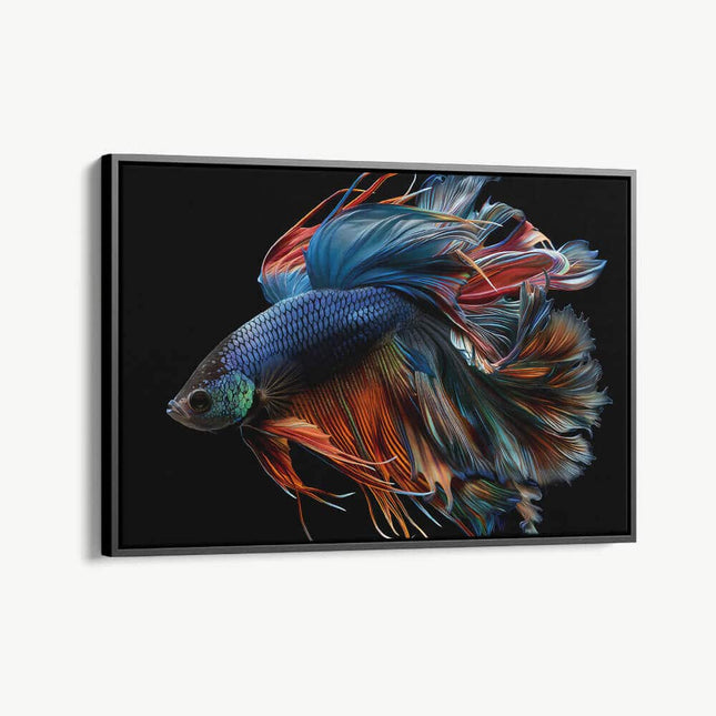 "Betta Fish"