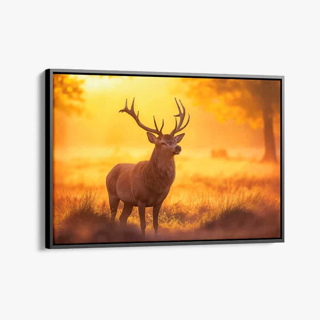 "Deer"