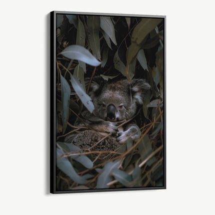 "Eucalyptus Dreams"