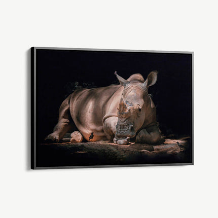 "Rhino"