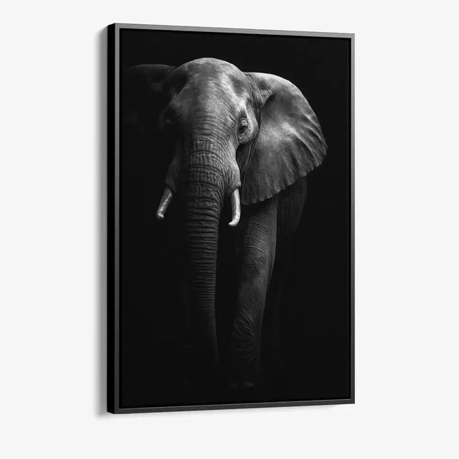 "Safari I"