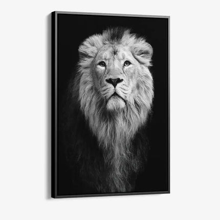 "Safari III"