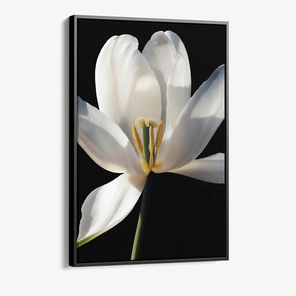 "White Flower"