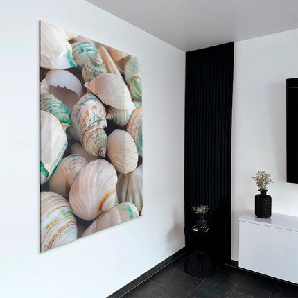 Sea Shell – Glass