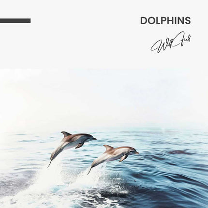 "Dolphins"