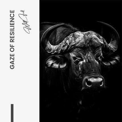 Gaze of Resilience – Glass