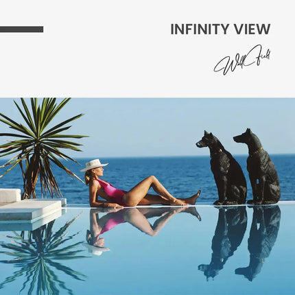 Vue à l'infini – <tc>verre</tc>