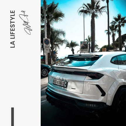 "LA Lifestyle"