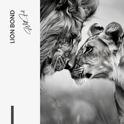 Lion Bond – Glass