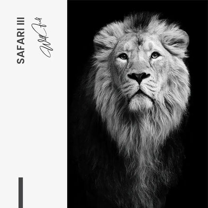 "Safari III"