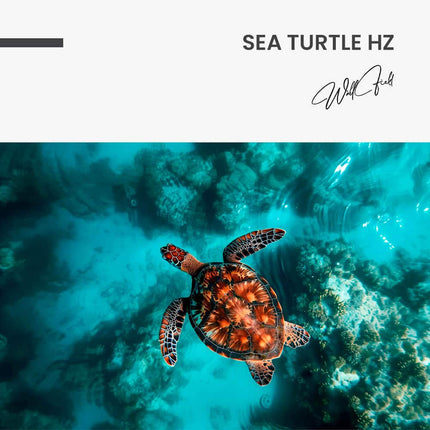 Sea Turtle HZ – Glass