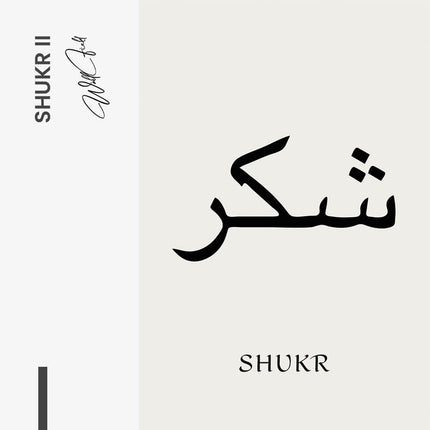 Shukr II – Glass