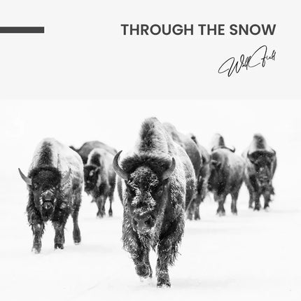 "Through the Snow"