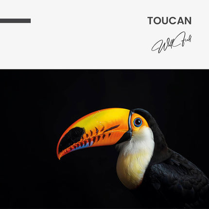 Toucan – Glass