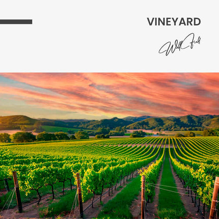 Vineyard – Glass