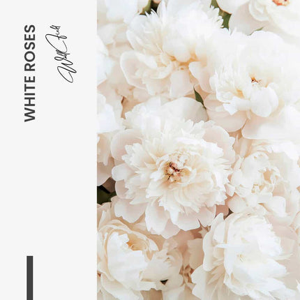 "White Roses"