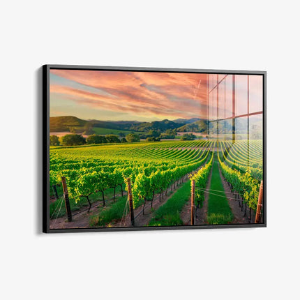 Vineyard – Glass