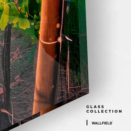 Vineyard – Glass