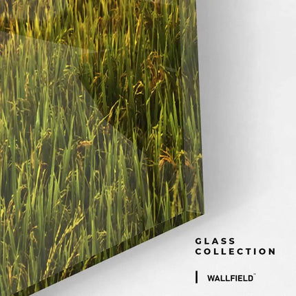 China – Glass