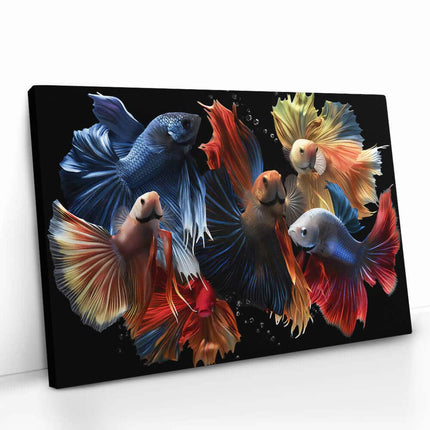 "Colourful Fishes"