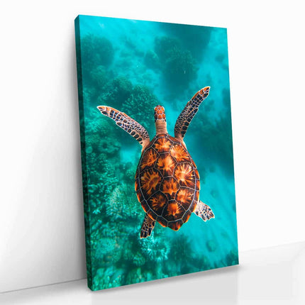 "Sea Turtle VT"