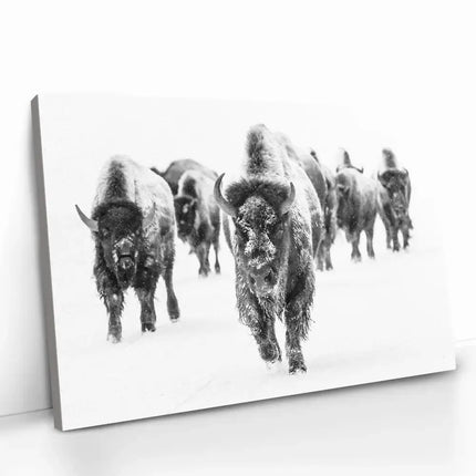"Through the Snow"