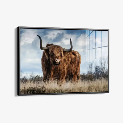 Muskox – Glass