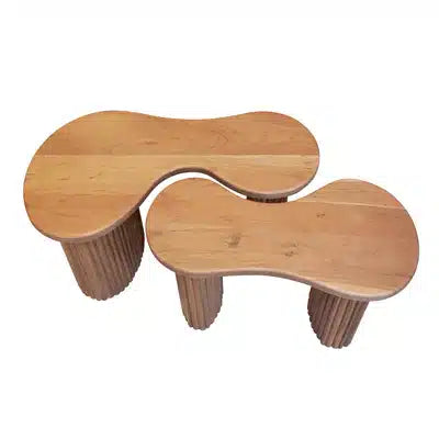 Coffee Table set/2 Fuse