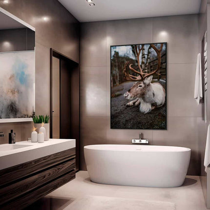 "The Caribou"