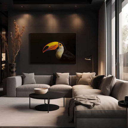 "Toucan"