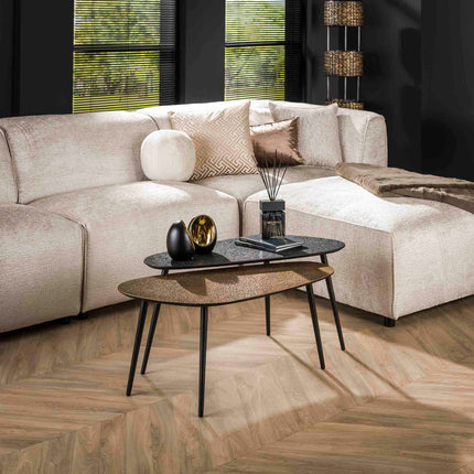 Coffee Table set/2 niervormig metallic / Gray