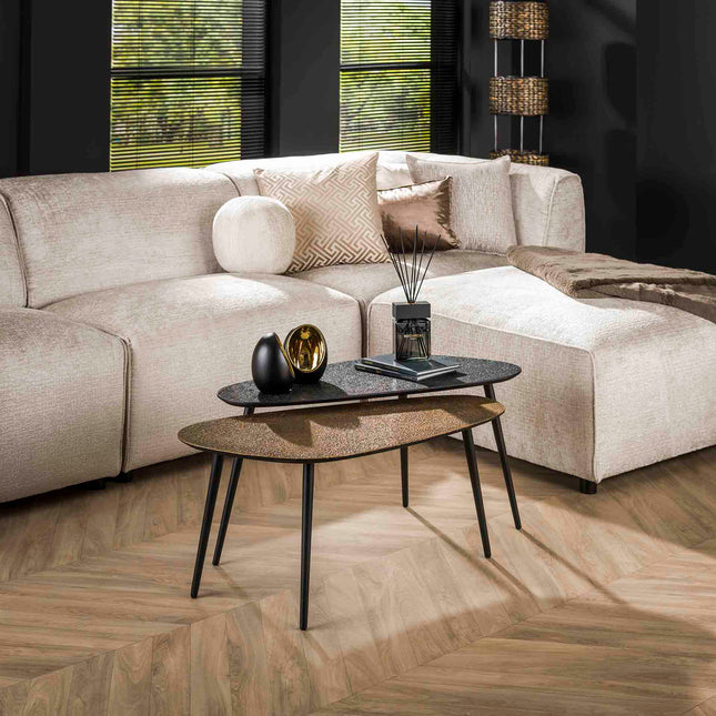 Coffee Table set/2 niervormig metallic / Gray