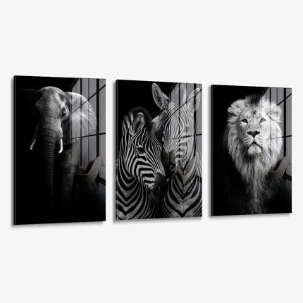 Pack : « Safari » (3x) – <tc>verre</tc>