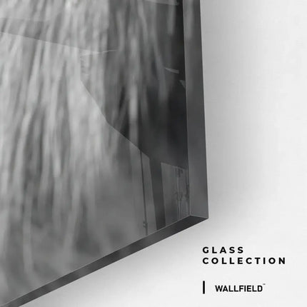 Lot : « Wild Mirror » (2x) – <tc>verre</tc>