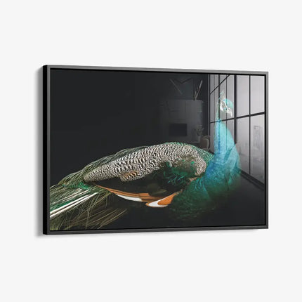 Peacock – Glass