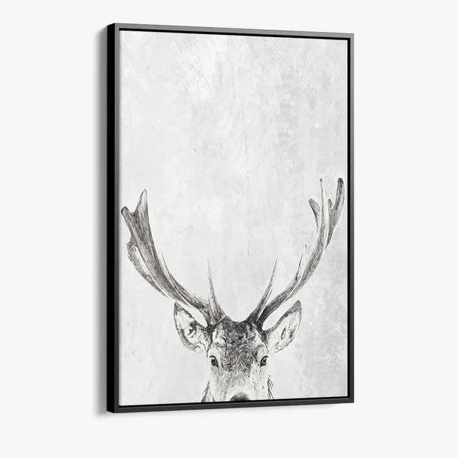 "Reindeer in snow"