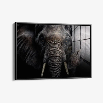 Elephant Close-Up – Glass