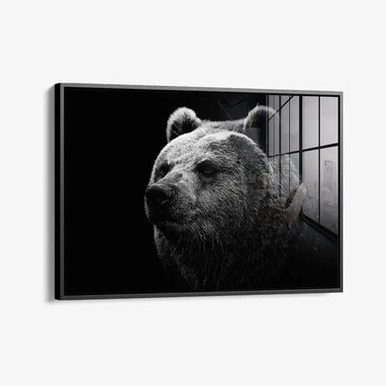 Big Bear – Glass