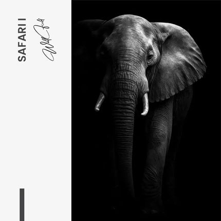 Bundle: "Safari" (3x)