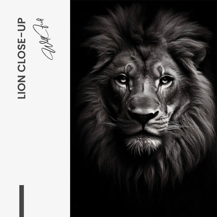 Lion Close-Up – Glass