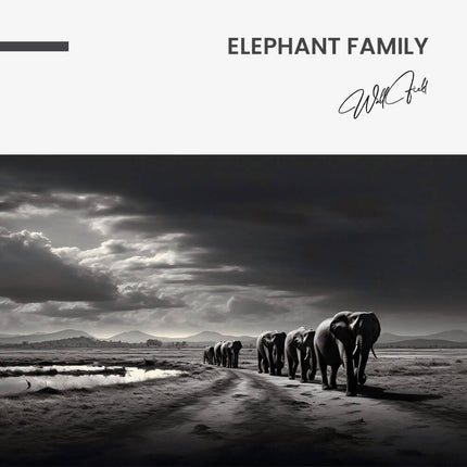 Elephant Family – Glass