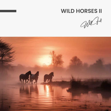 Wild Horses II – Glass