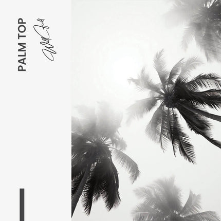 "Palm top"