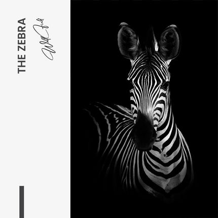 The Zebra – Glass