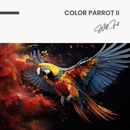 "Color Parrot II"