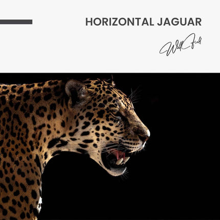 Horizontal Jaguar – Glass