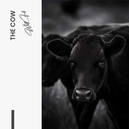 "The Cow"